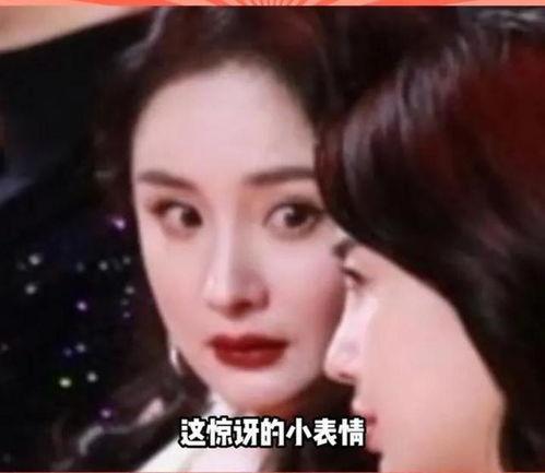 娱乐圈的吃瓜影带